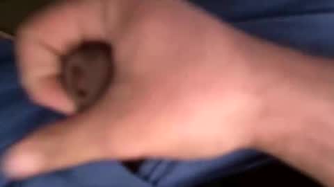 Snapshot of 12theose chatting on 7, 2, 2026 12theose online show from 7, 2, 2026