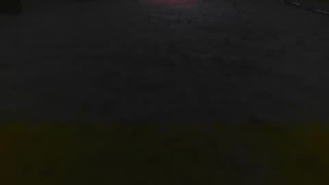 1337assman1337 online show from 25, 11, 2025