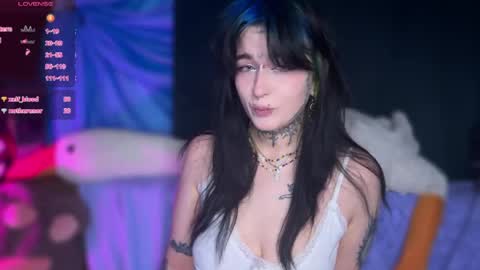 Snapshot of 1callmedistress1 chatting on 24, 4, 2026 Teya online show from 24, 4, 2026