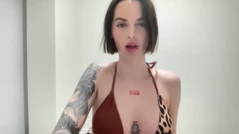 Snapshot of 1dove chatting on 6, 3, 2026 DOVE online show from 6, 3, 2026