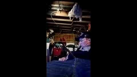 1horney online show from 21, 5, 2026