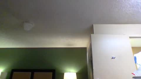 Snapshot of 1nastya8 chatting on 12, 4, 2026 TheShyOne18 online show from 12, 4, 2026