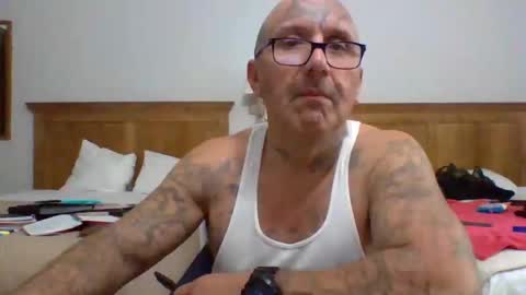 Snapshot of 1nastya8 chatting on 26, 5, 2026 TheShyOne18 online show from 26, 5, 2026