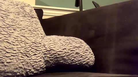 Snapshot of 25923 chatting on 14, 1, 2025 25923 online show from 14, 1, 2025