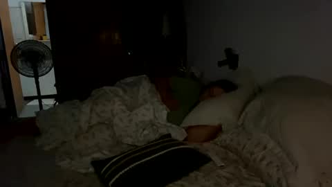 Snapshot of 2littlefox chatting on 19, 1, 2025 2littlefox online show from 19, 1, 2025