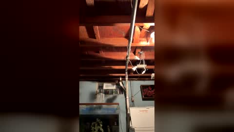 33adidas online show from 25, 3, 2026