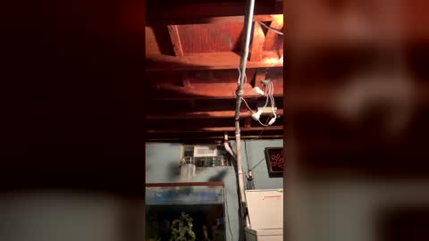 33adidas online show from 26, 3, 2026