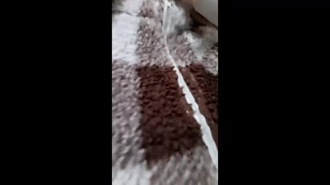 3X NAXAA online show from 15, 2, 2026