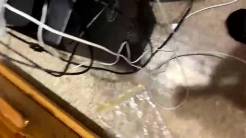 Snapshot of 420bbwadmirer chatting on 4, 1, 2025 420bbwlover online show from 4, 1, 2025