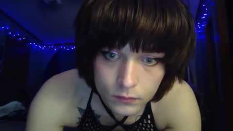 Gagecat online show from 10, 3, 2025