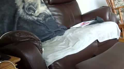 Snapshot of 66bear chatting on 14, 12, 2025 66bear online show from 14, 12, 2025