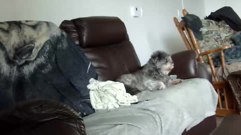 Snapshot of 66bear chatting on 21, 12, 2025 66bear online show from 21, 12, 2025