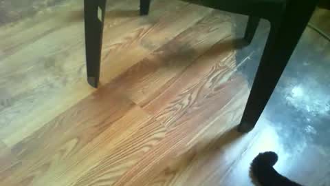 69forever453443 online show from 14, 11, 2025