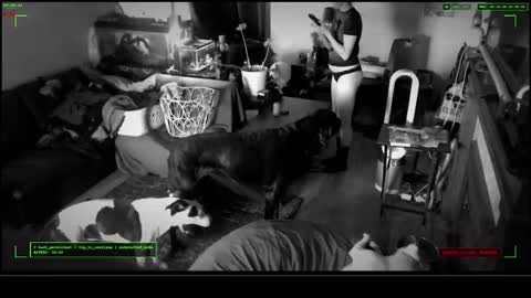 Voyeur Vault online show from 17, 12, 2025