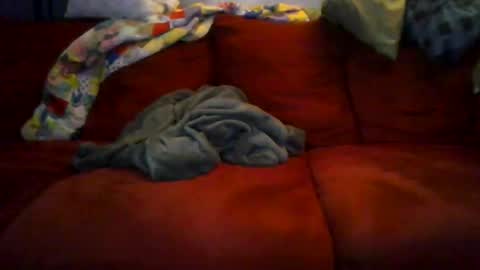 77steve7777 online show from 18, 12, 2025