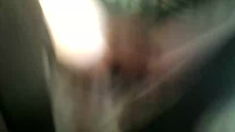 Snapshot of 8675309r2d2 chatting on 9, 11, 2025 8675309r2d2 online show from 9, 11, 2025
