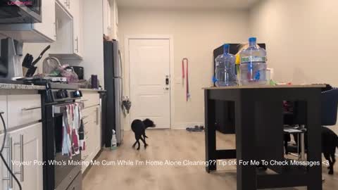 888lucky online show from 14, 2, 2026