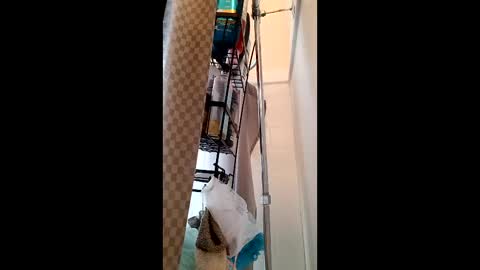 John B online show from 1, 3, 2025