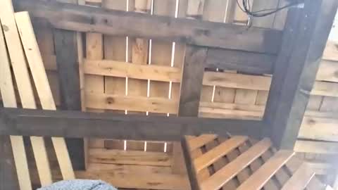 999mateo999 online show from 11, 10, 2025