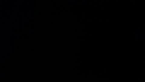 Snapshot of _aafrodita__ chatting on 26, 11, 2025 Alexa online show from 26, 11, 2025