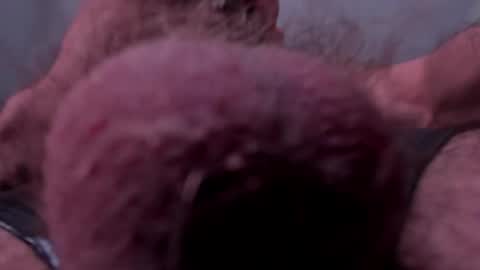 Snapshot of _adamcoper_ chatting on 25, 10, 2025 _adamcoper_ online show from 25, 10, 2025