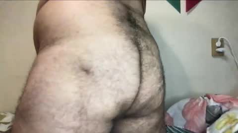 Snapshot of _alan_bear_ chatting on 3, 11, 2025 Alan online show from 3, 11, 2025