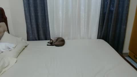 Amber online show from 1, 12, 2024