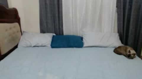 Amber online show from 29, 12, 2024