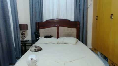 Amber online show from 30, 1, 2025