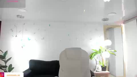 antonnela online show from 25, 2, 2026