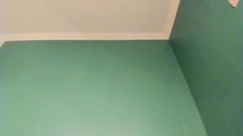 Snapshot of _ashley_collin_ chatting on 24, 11, 2025 Sofia online show from 24, 11, 2025