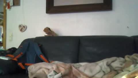 Snapshot of _b0rn4porn_ chatting on 27, 4, 2026 b0rn4porn online show from 27, 4, 2026