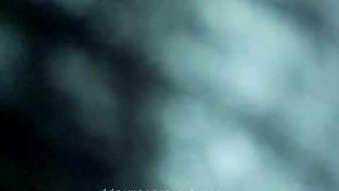 _black_horse_1 online show from 16, 5, 2026