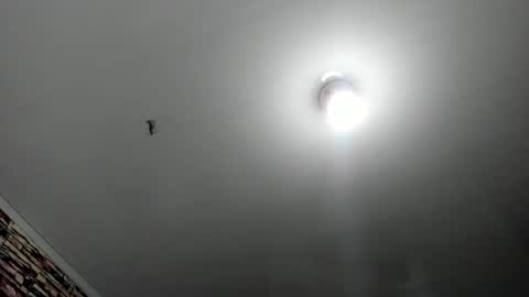 _casandra11 online show from 17, 2, 2025