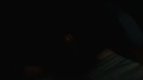 Snapshot of _daddybry_ chatting on 21, 2, 2025 bree x3 online show from 21, 2, 2025