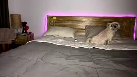 Snapshot of _elisavae chatting on 15, 12, 2025 elisa online show from 15, 12, 2025