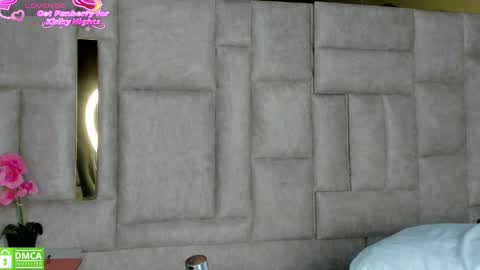 Snapshot of _eris_rose chatting on 24, 11, 2025 _eris_rose online show from 24, 11, 2025