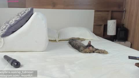 Snapshot of _fullmoon chatting on 21, 3, 2026 fullmoon online show from 21, 3, 2026