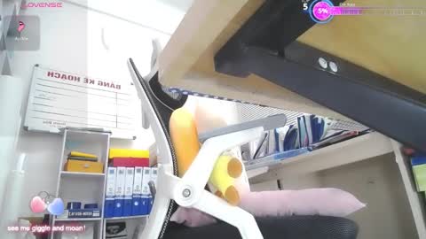 Ariel online show from 17, 1, 2026