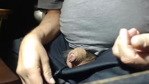 Snapshot of _jimmini chatting on 1, 11, 2025 _jimmini online show from 1, 11, 2025