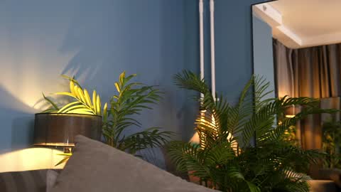 FANSLY ---   anal in private 700 tokens online show from 7, 11, 2025