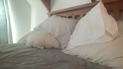 Kiwi online show from 2, 12, 2025