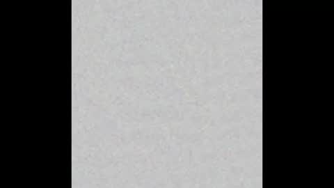 _maccaa_ online show from 31, 10, 2025