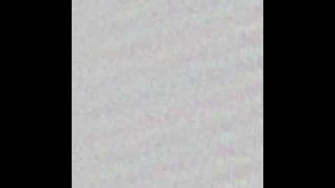 _maccaa_ online show from 26, 11, 2025