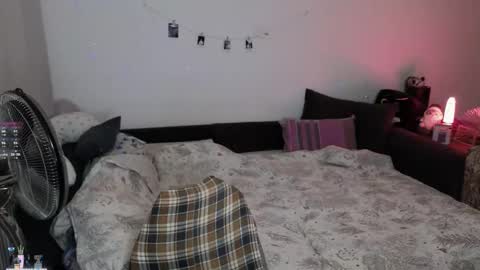  Medaed20  online show from 13, 11, 2025