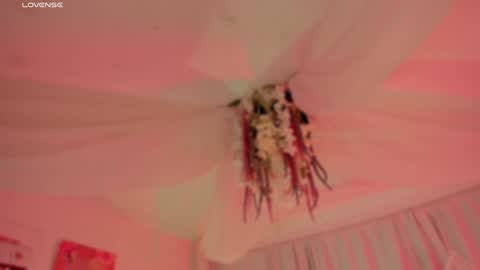 Snapshot of _mers chatting on 21, 12, 2024 Telegram Channel channelofmers Subscribe schedule 600 am 1200 am Colombia time online show from 21, 12, 2024