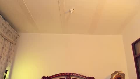 Snapshot of _nonbinaryangel_ chatting on 19, 3, 2026 Sammy online show from 19, 3, 2026