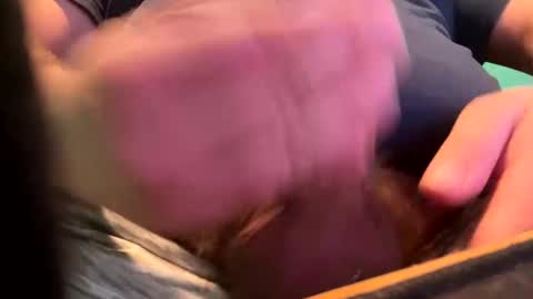 Snapshot of _peterson_ chatting on 15, 1, 2025 _peterson_ online show from 15, 1, 2025