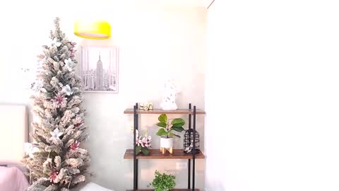 Sassy Girl online show from 12, 12, 2024