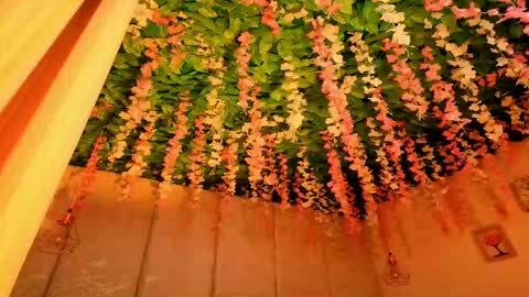   online show from 12, 4, 2026